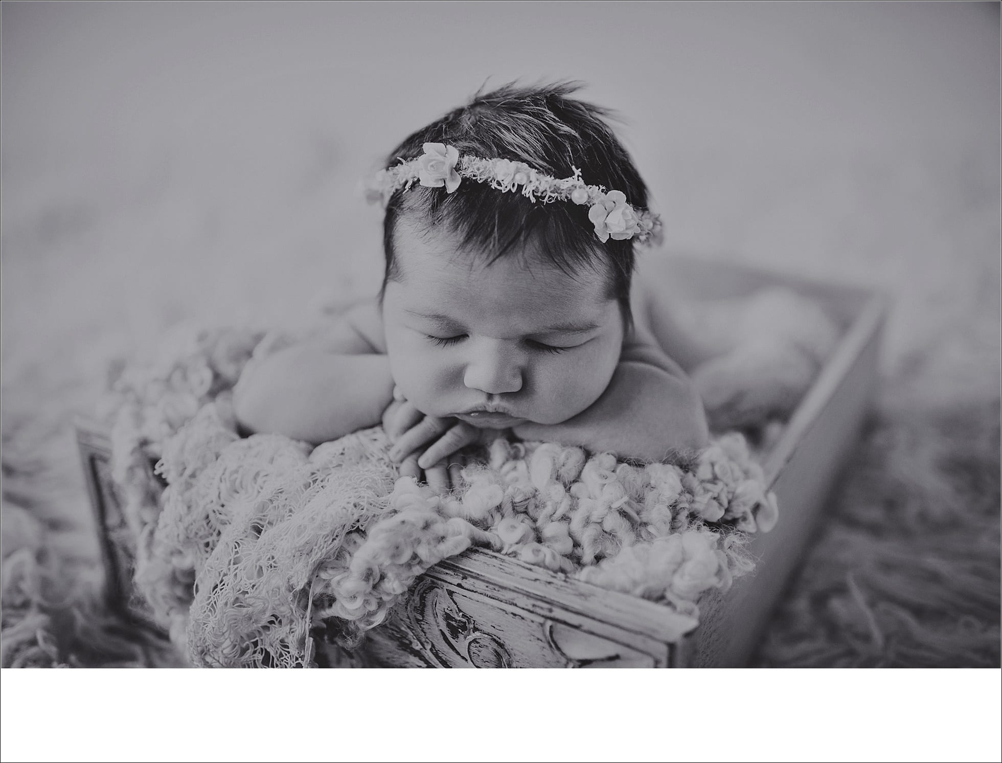 babies, newborns, cuddle, baskets, Madison Metro area Photography