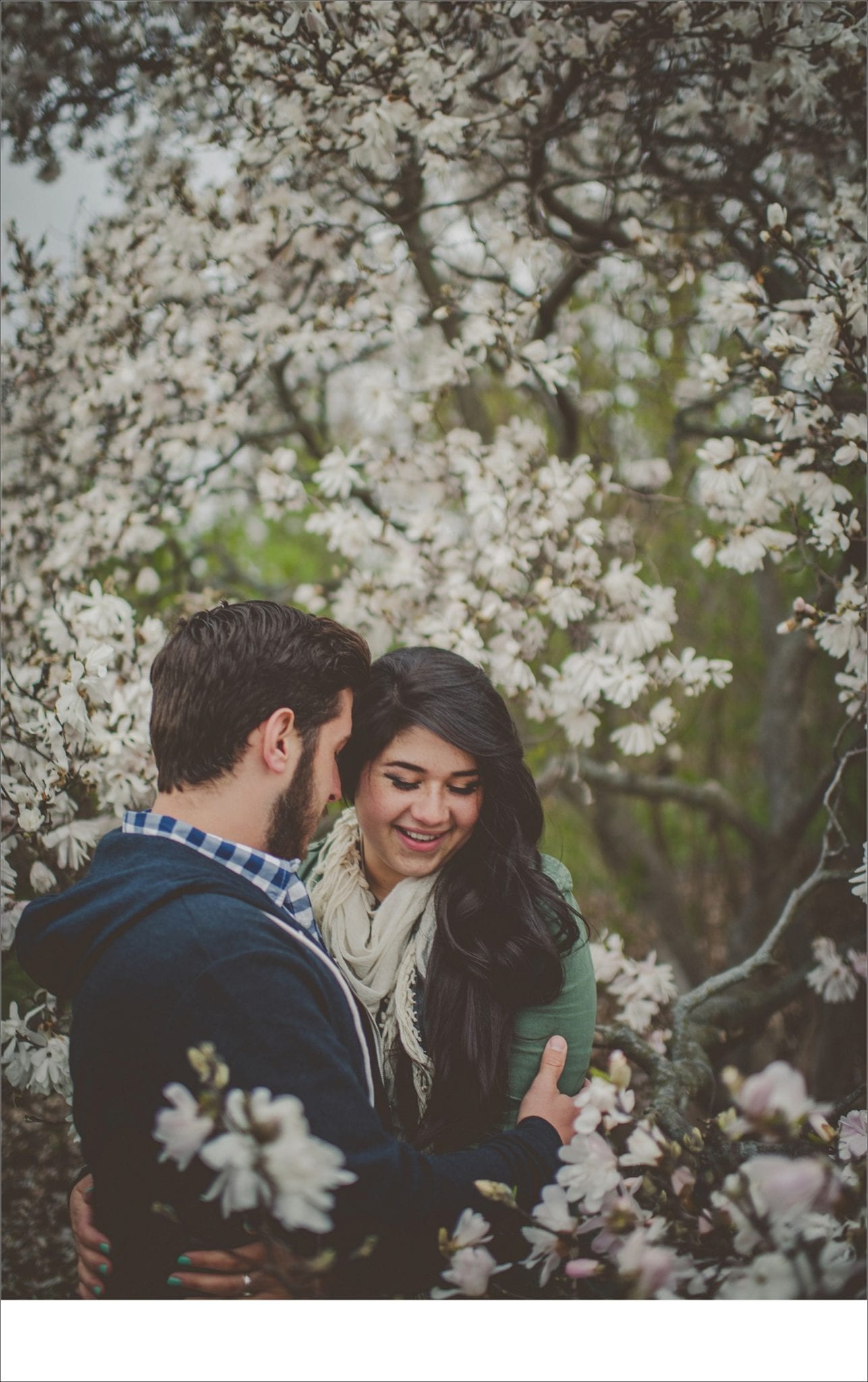 madison cherry blossoms, Madison area engagement sessions