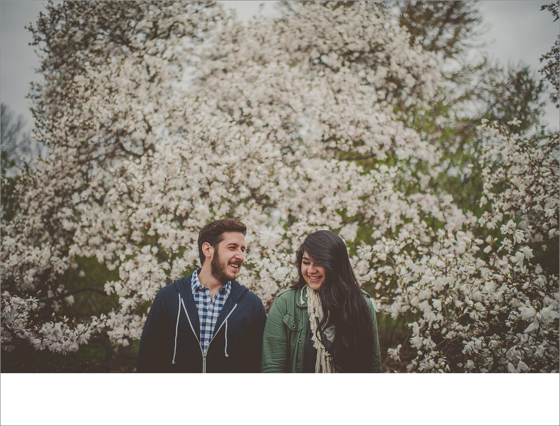 couples, cherry blossoms, madison backdrop, engagement sessions, Sun Prairie Photography