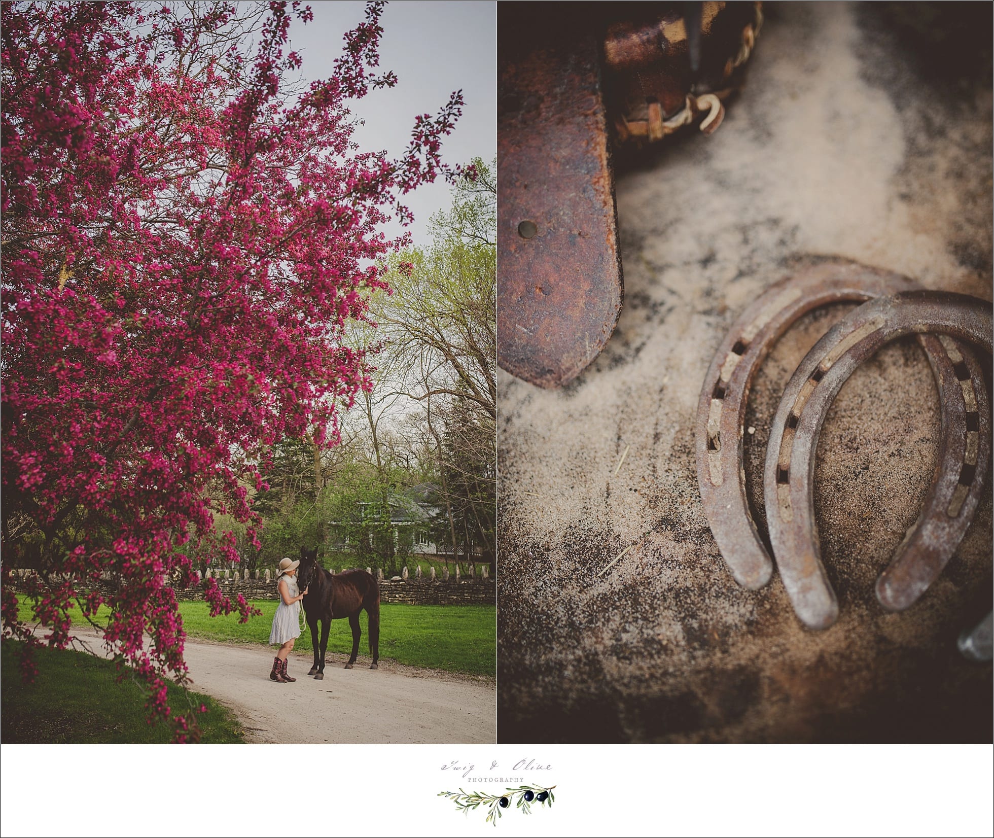 horse shoes, details, rustic, outdoors, sunset sessions, Minnesota Wisconsin neighbors