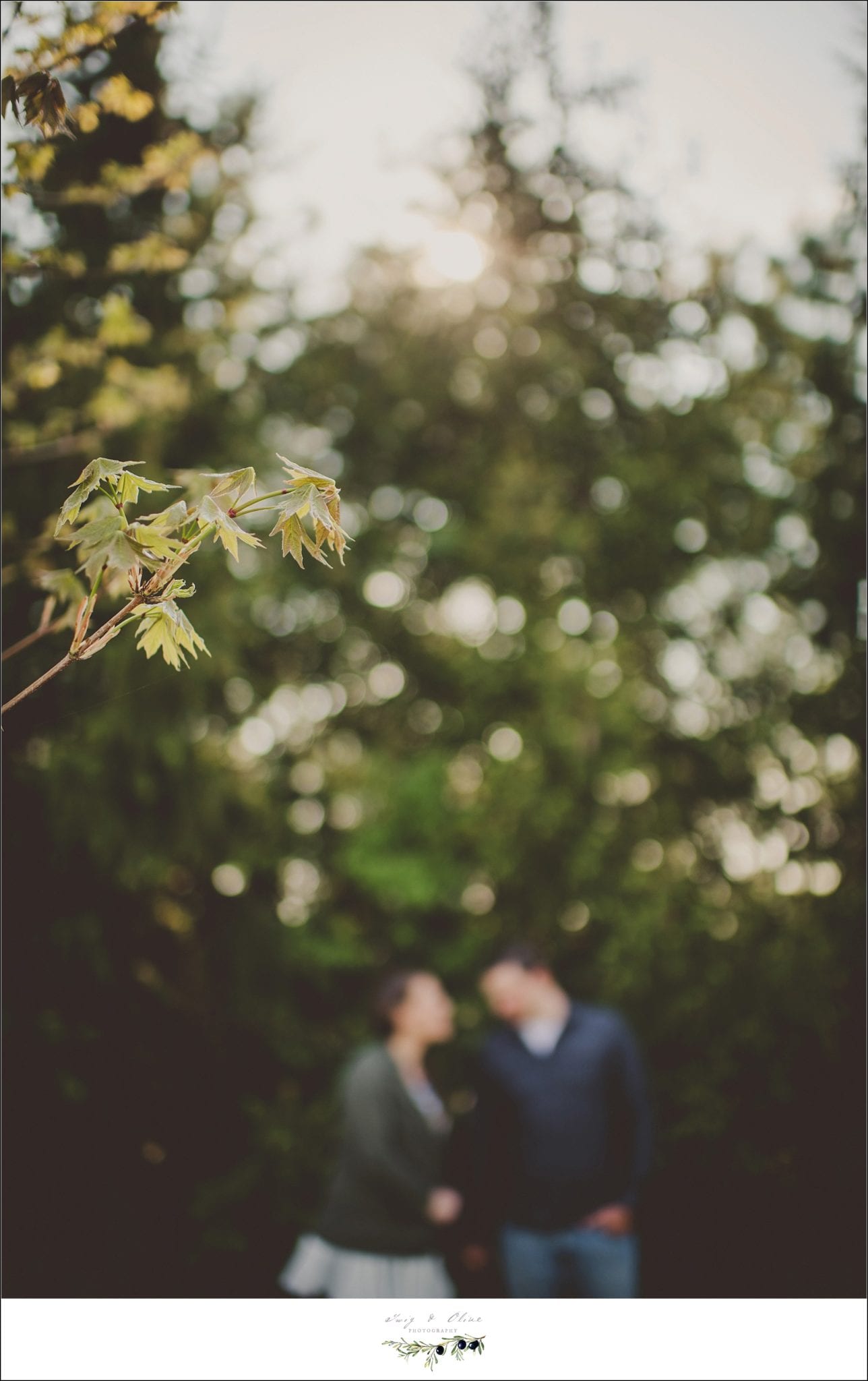 couples and engagement sessions, Twig and Olive Photography