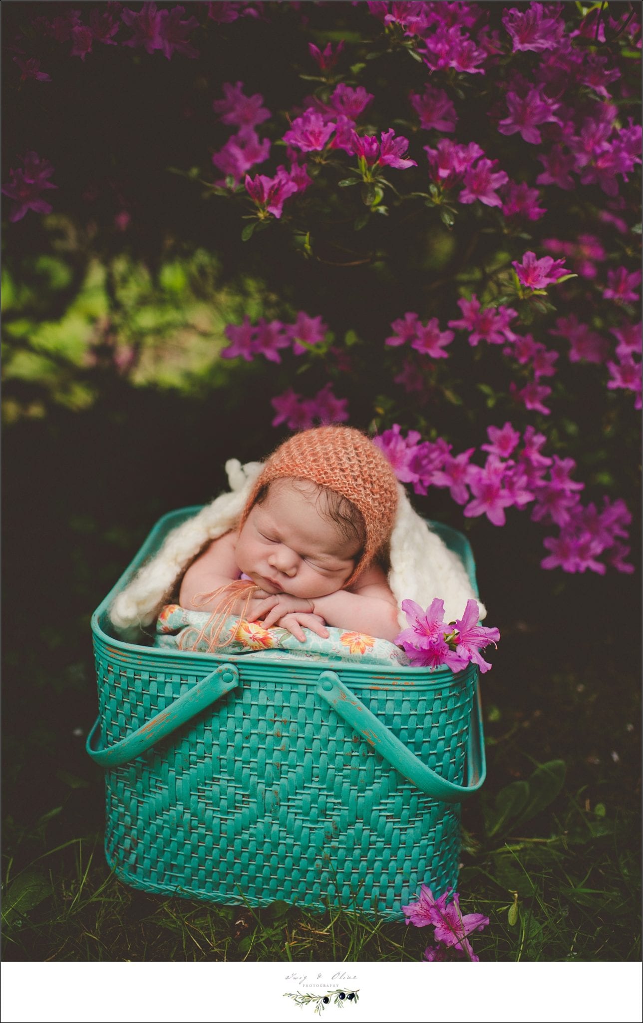 baskets, bonnets, blankets, hair flowers, babies, newborns, rustic Washington backdrop