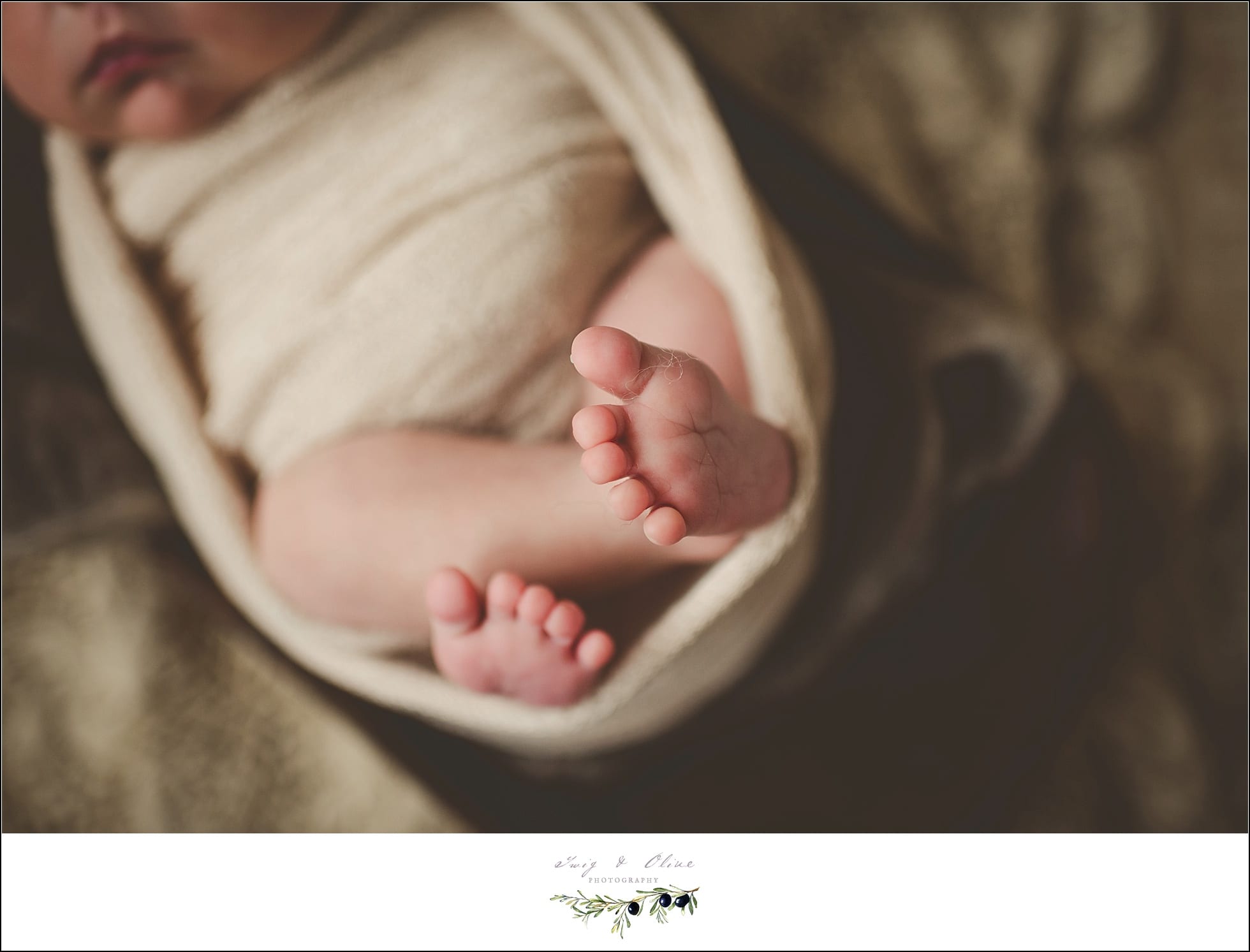 swaddled, details, wraps, blankets, baskets, little feet, Twig and Olive Photography newborns