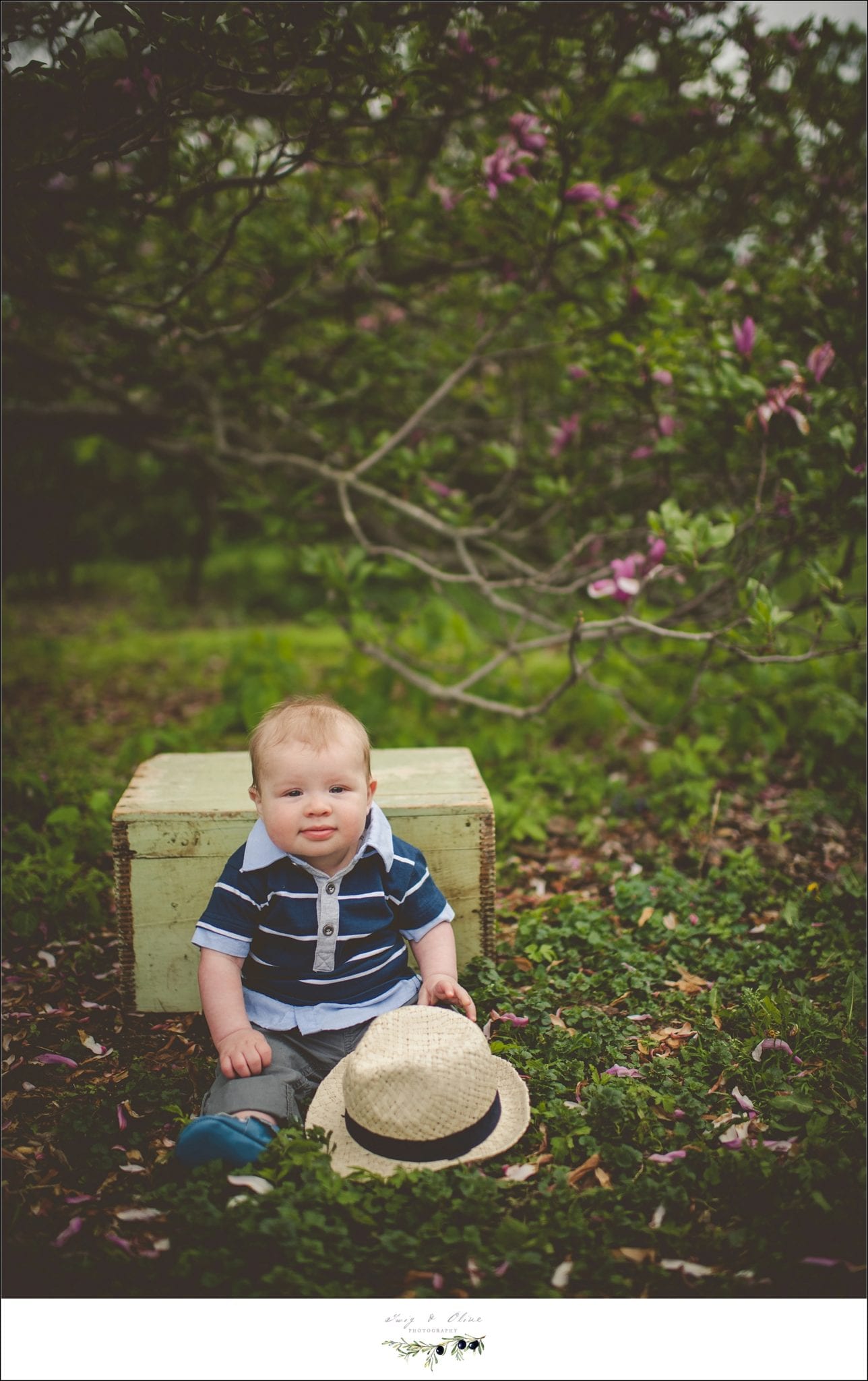 six month old session, Madison WI, Twig and Olive, Wisconsin photography, babies, blankets, smiling happy babies, happy parents, outdoor sessions, blooming flowers, baskets, benches, fedoras, hats, chunky babies, trees, outdoor backdrops, Twig and Olive Photography babies, baskets, buckets, bonnets, smiles, baby stuff, vintage, rustic, TOP, Twig and Olive, Dane county photography, Madison area photography, sunset photography, Sun Prairie photographers