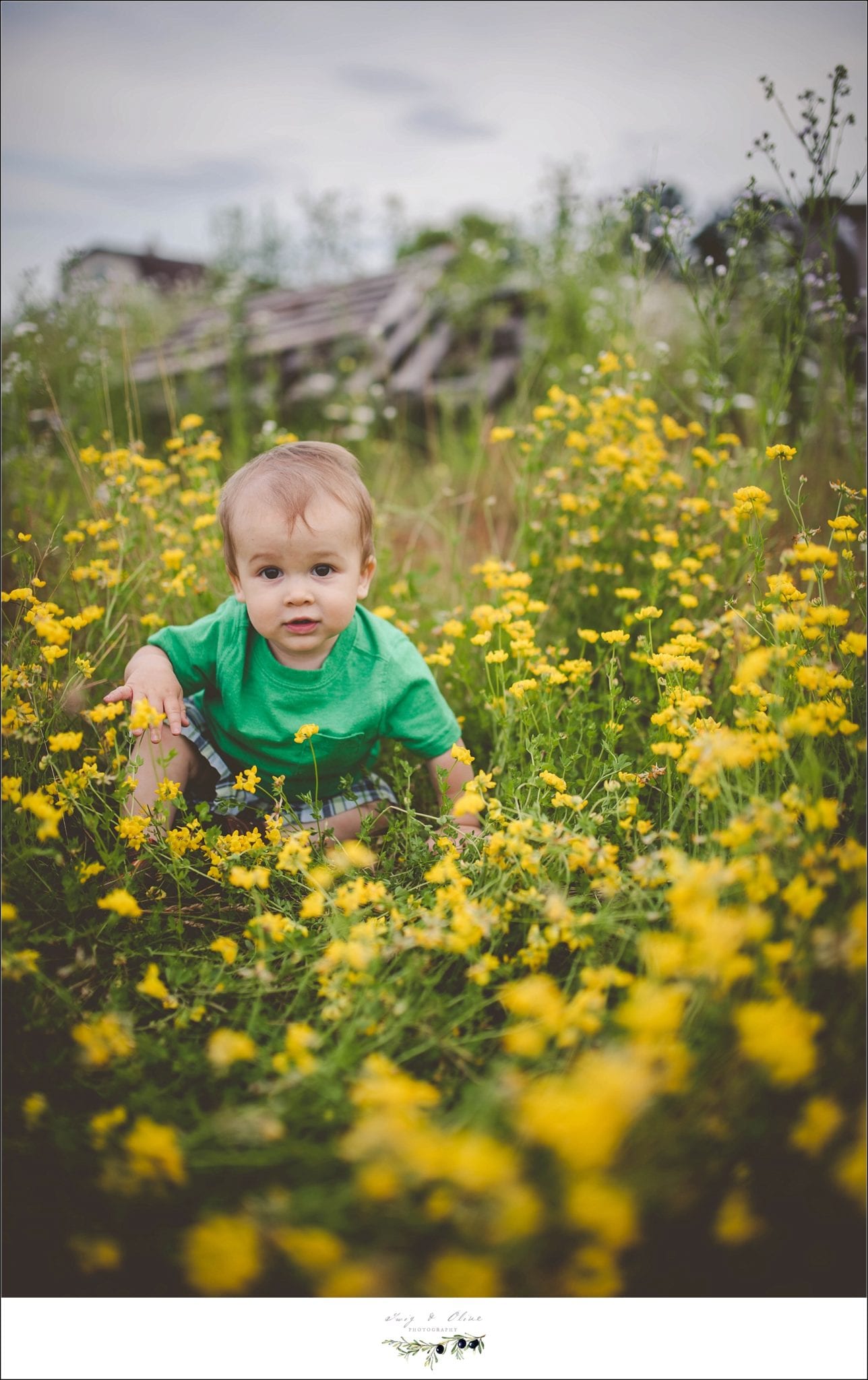baby boy, yellow flowers, green grass, rustic barn