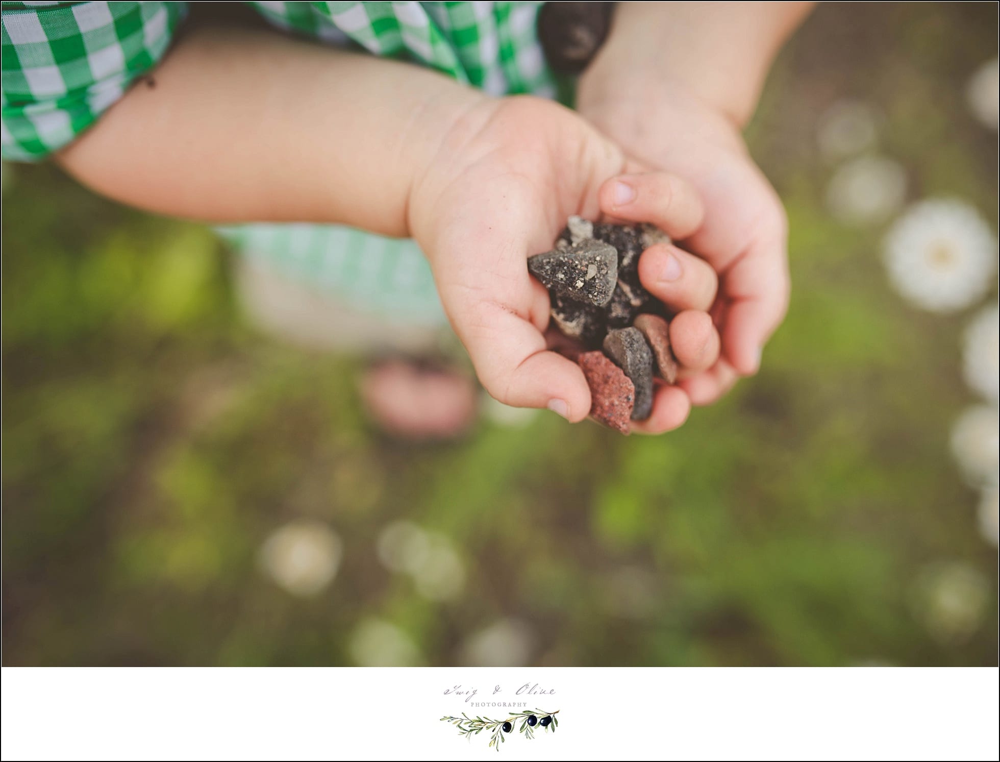 rocks, tiny hands, Stanley family sessions