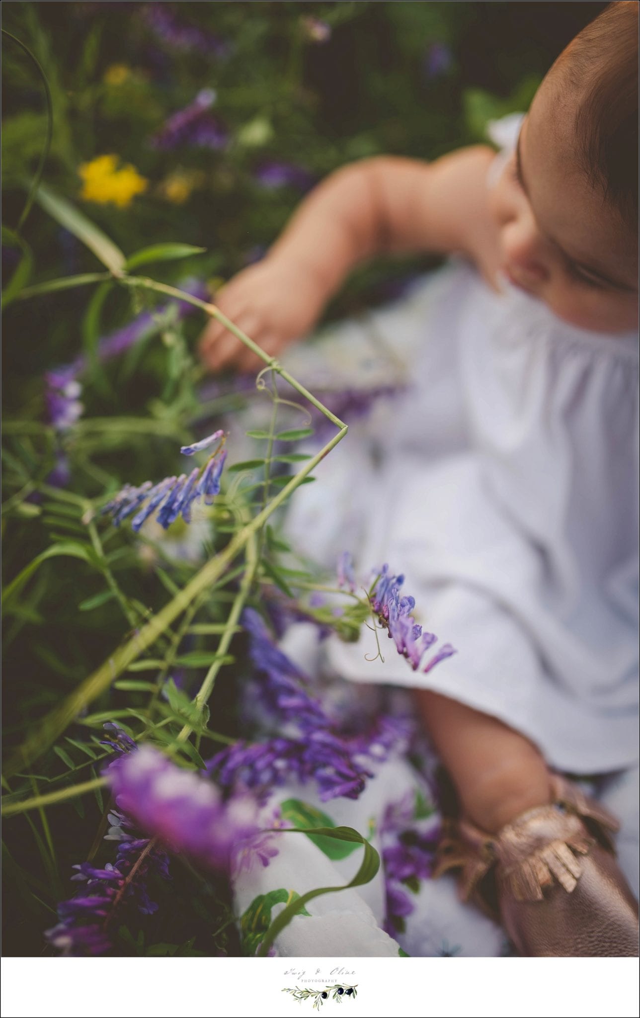 purple flower, white dress, greenery, baby