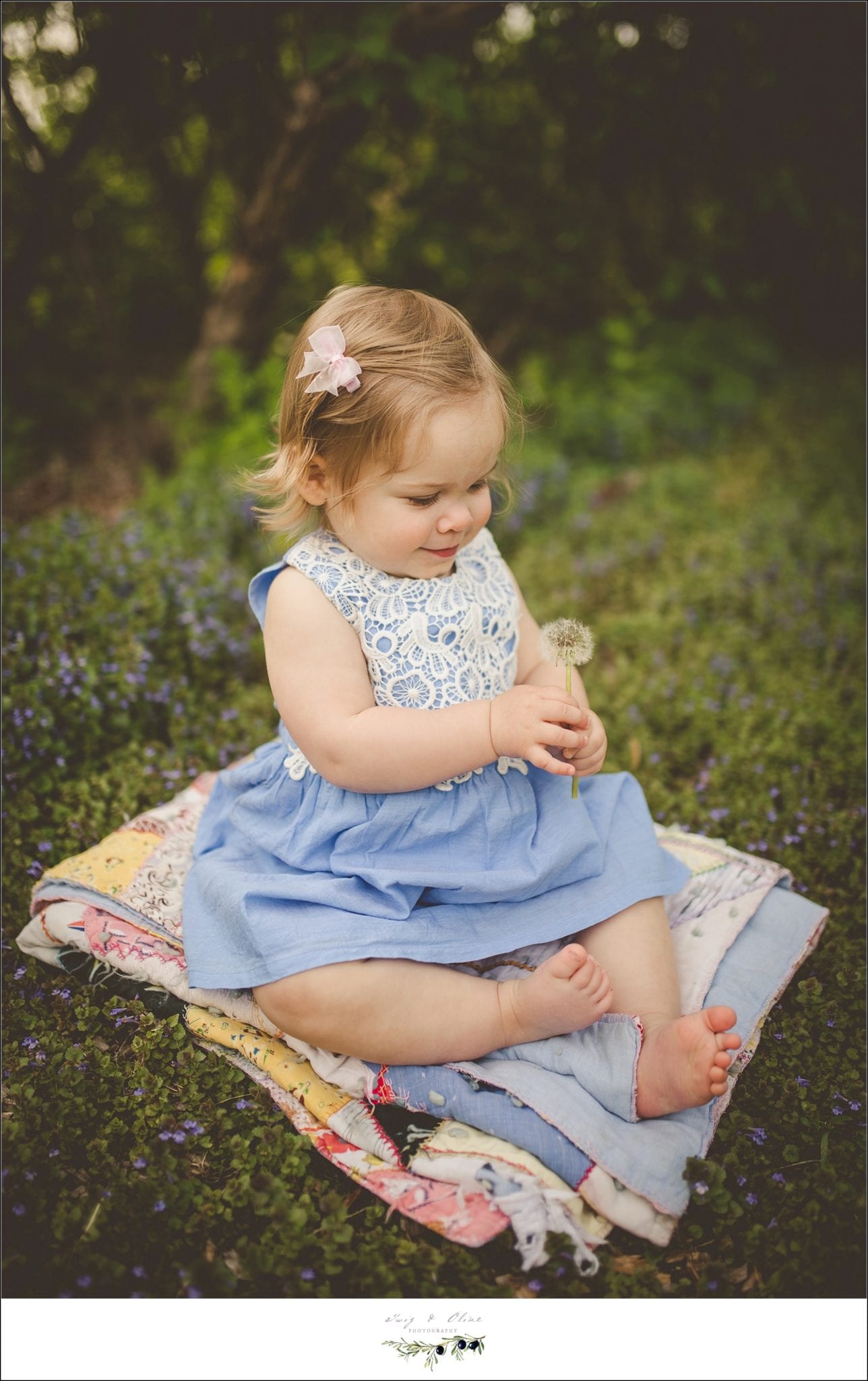 blue dress, blanket, greenery, hair flower, cherub, angel, madison mini sessions