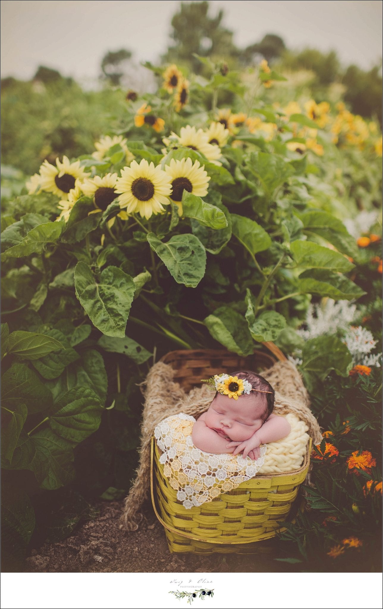 sun flowers, hair flowers, newborns