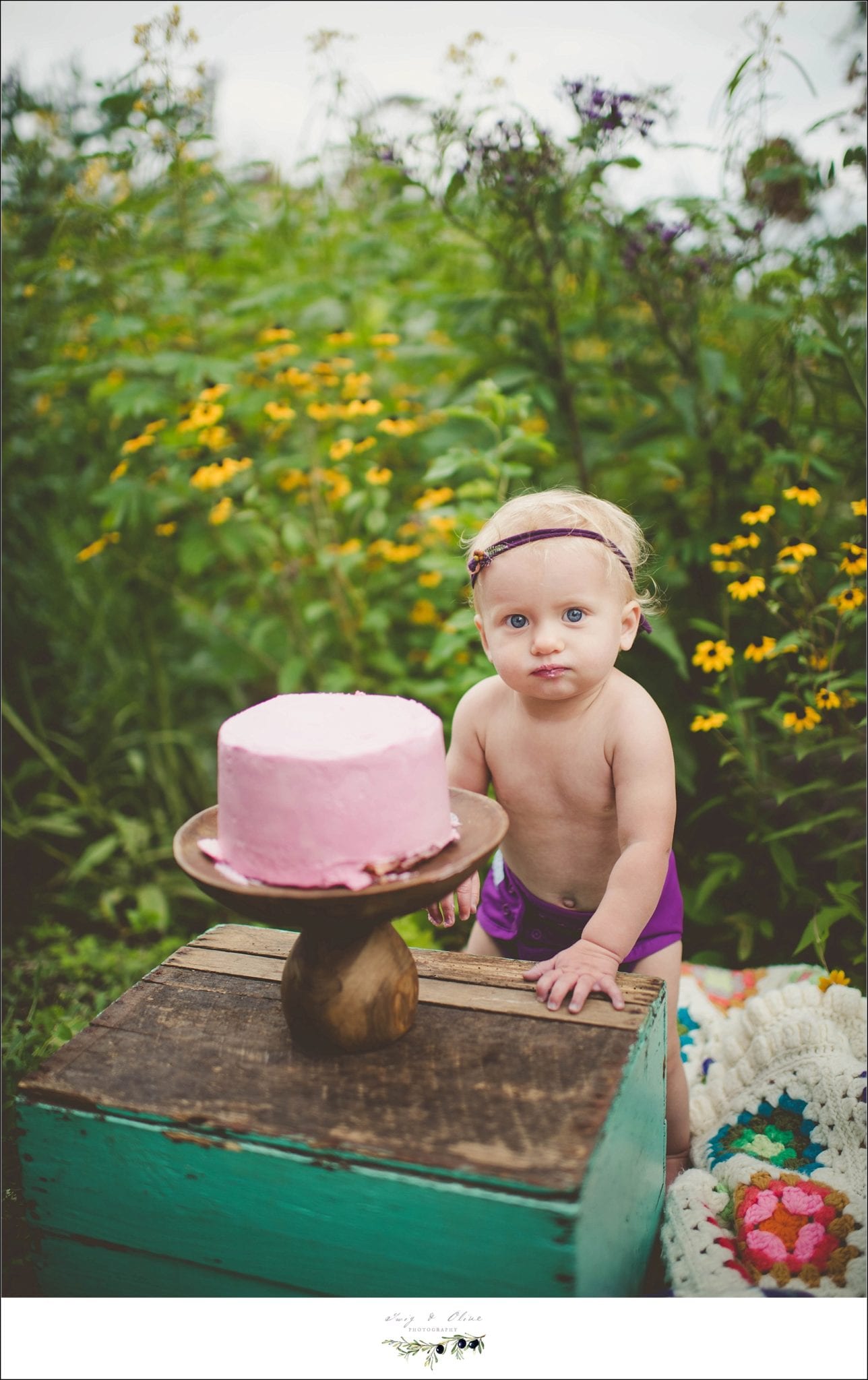 one year old session, pink cake