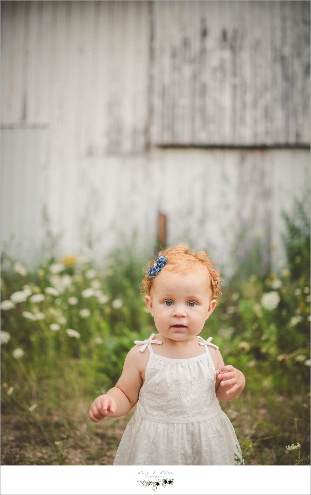 baby ginger, prairie flowers