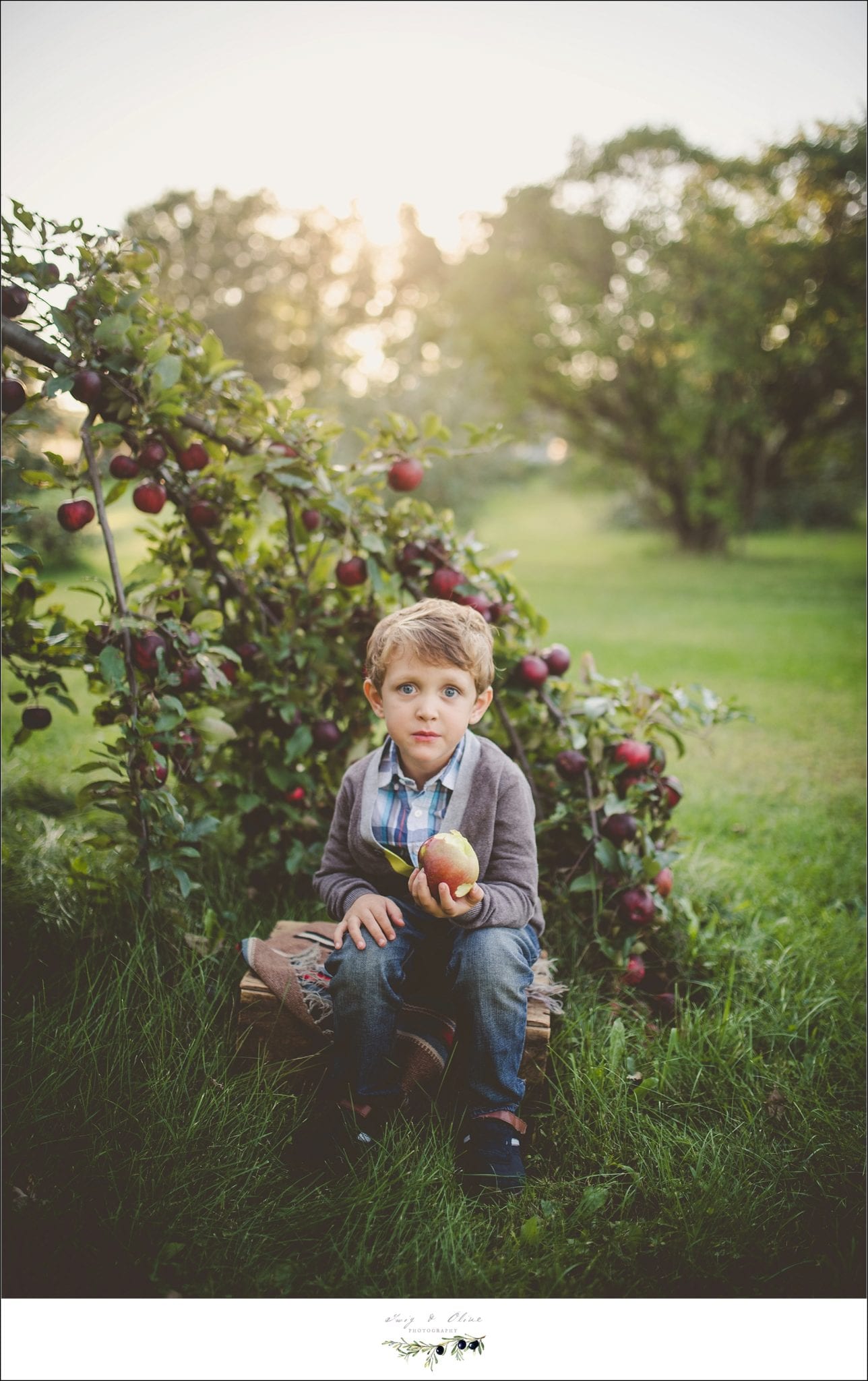 holding apples