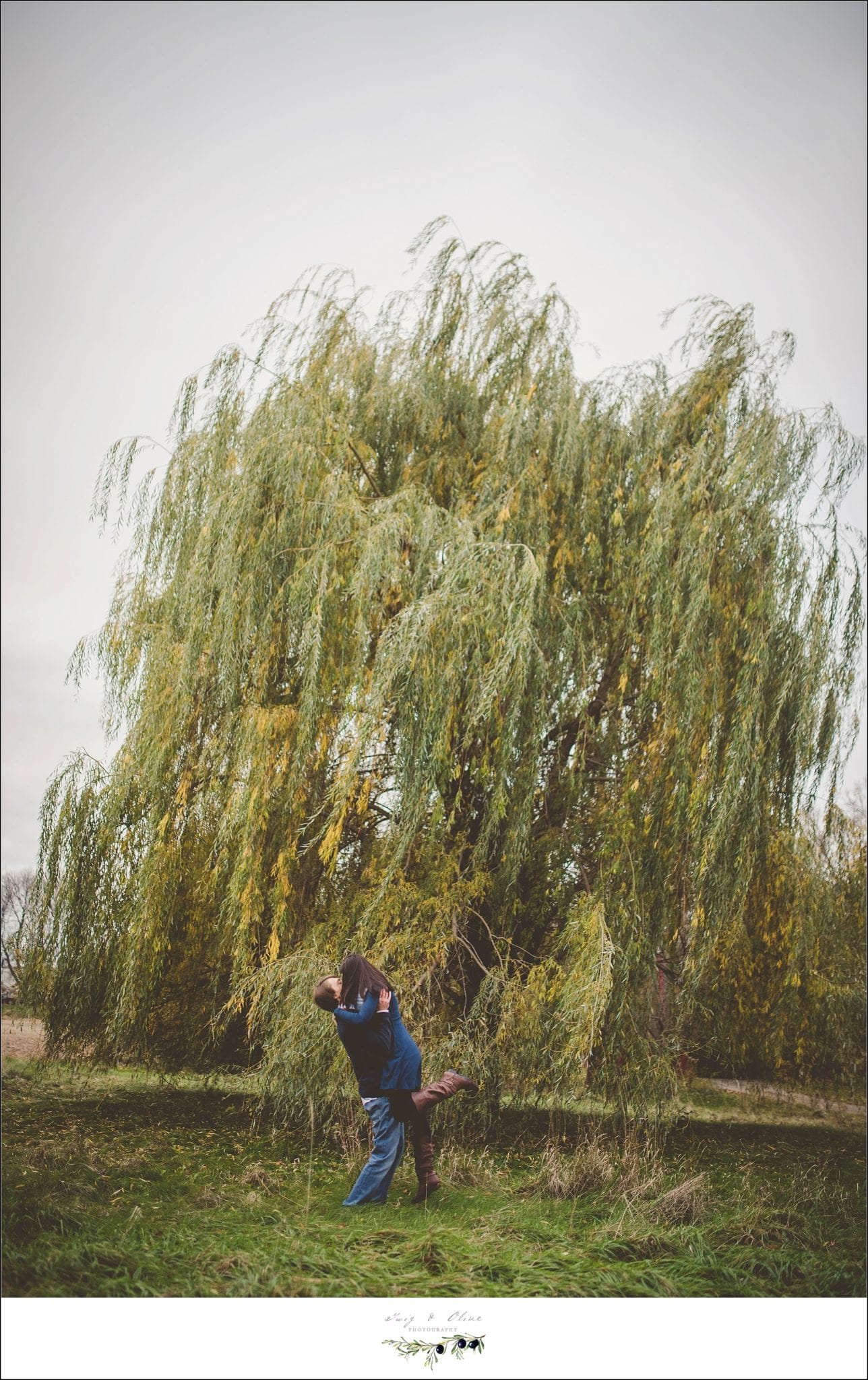 big willow