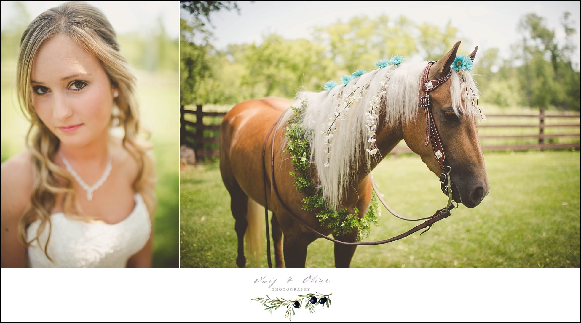 horse at wedding
