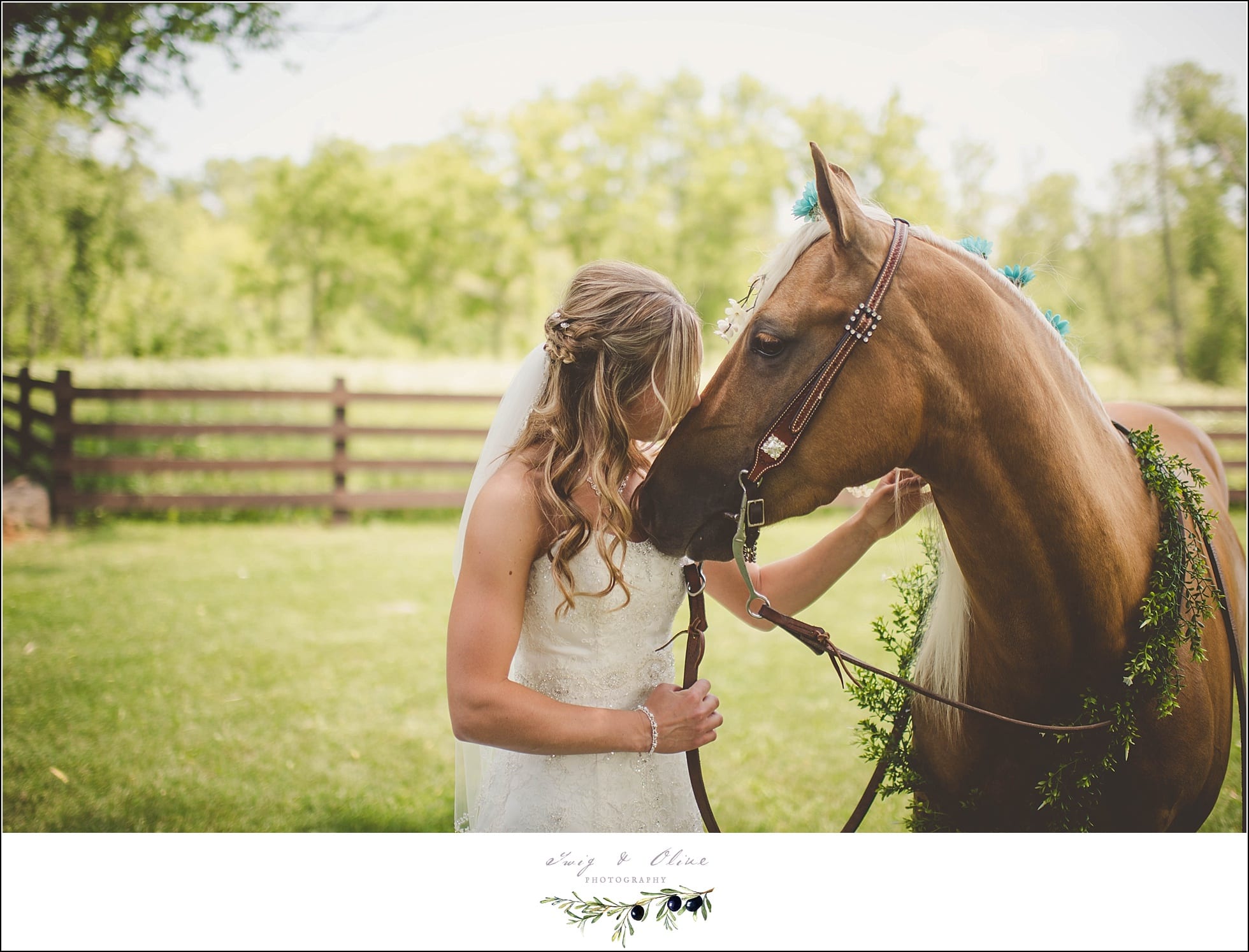 wedding horse portraits