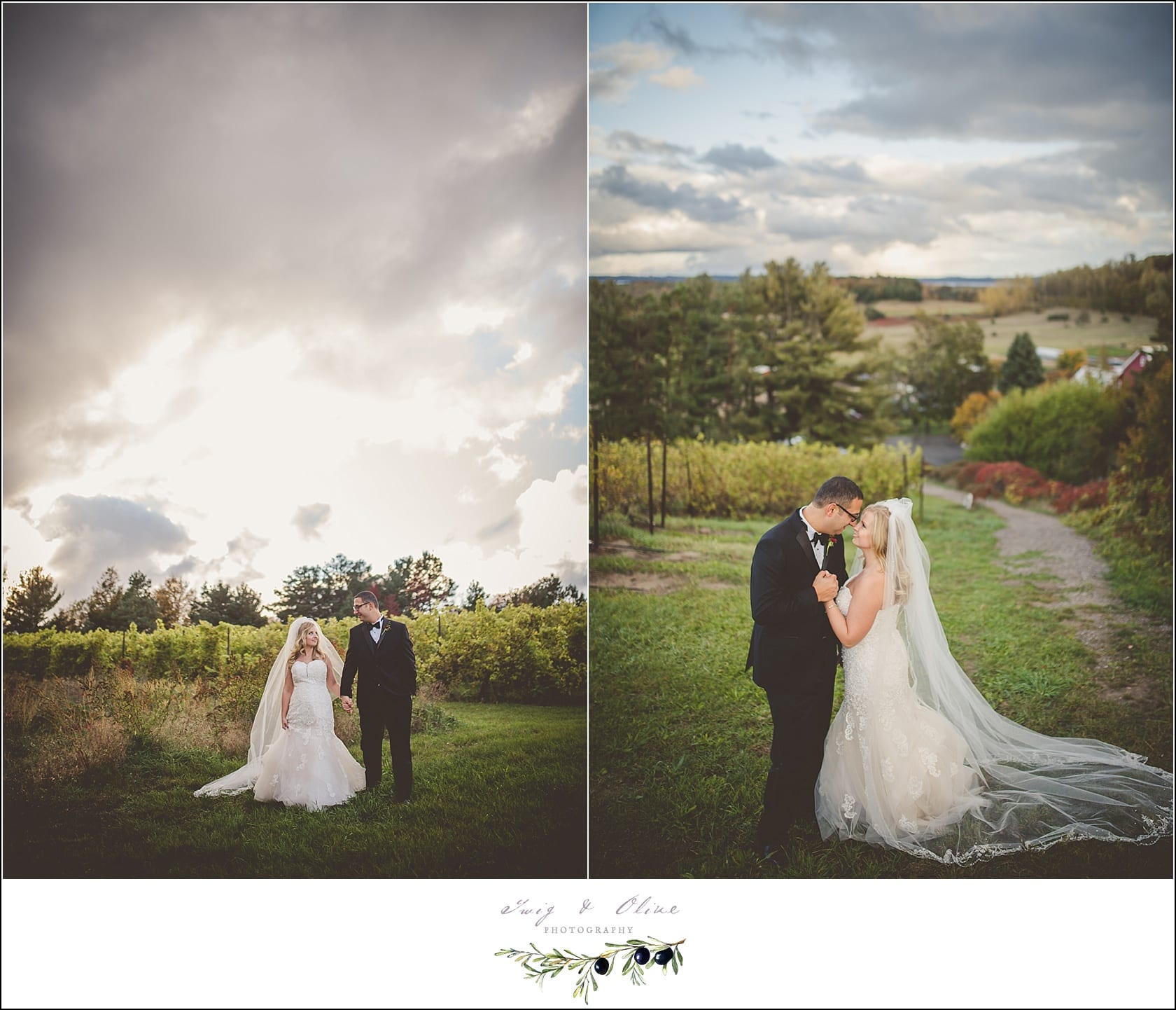 Twig Olive PhotographyBlack Star Farms Wedding  