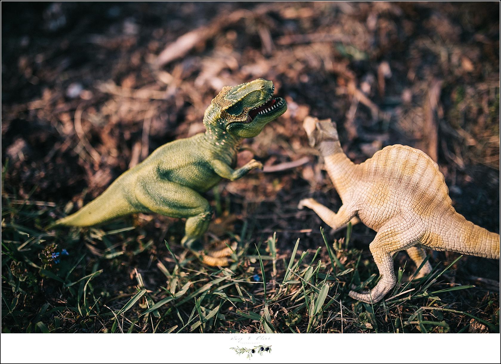 toy dinosaur fight