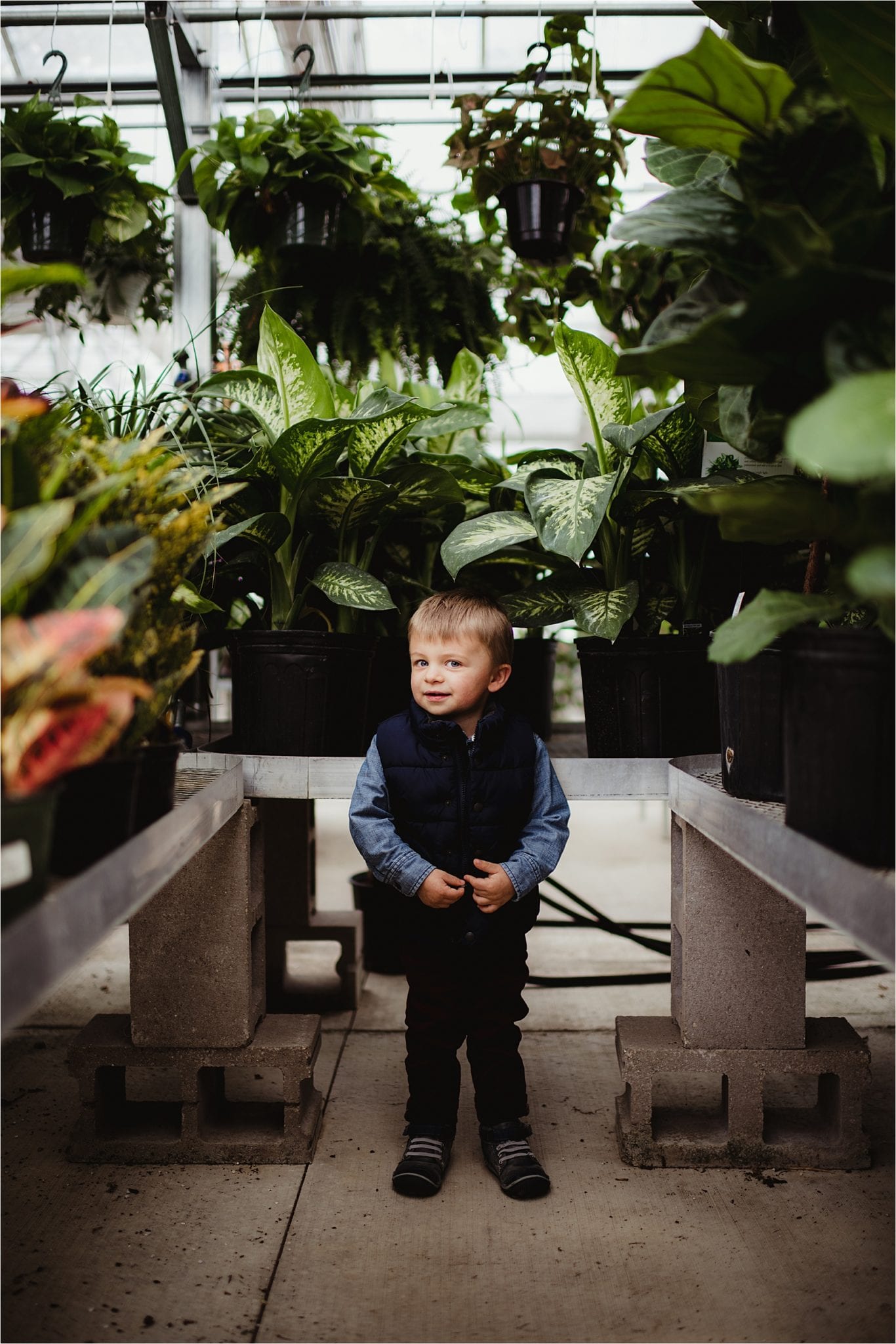 Gorgeous Greenhouse Maternity Family Session Madison Wi Twig