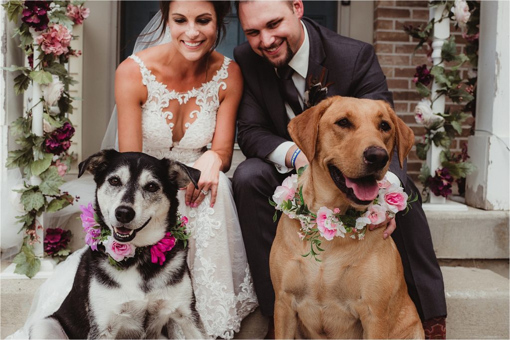 Bride and Groom with Dogs in Floral Collars 